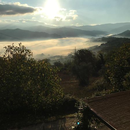 Il Mugello B&B Vicchio Extérieur photo