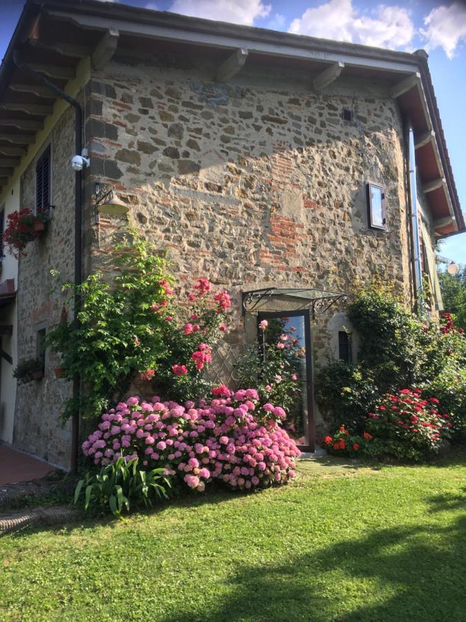 Il Mugello B&B Vicchio Extérieur photo