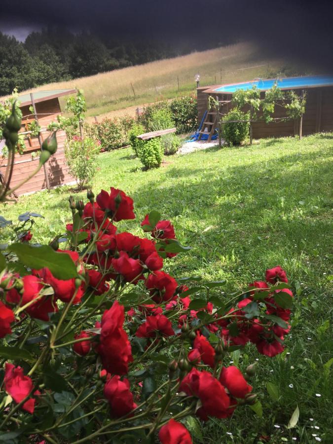 Il Mugello B&B Vicchio Extérieur photo