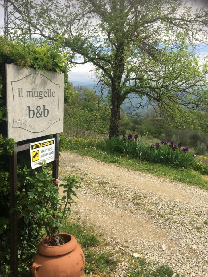 Il Mugello B&B Vicchio Extérieur photo