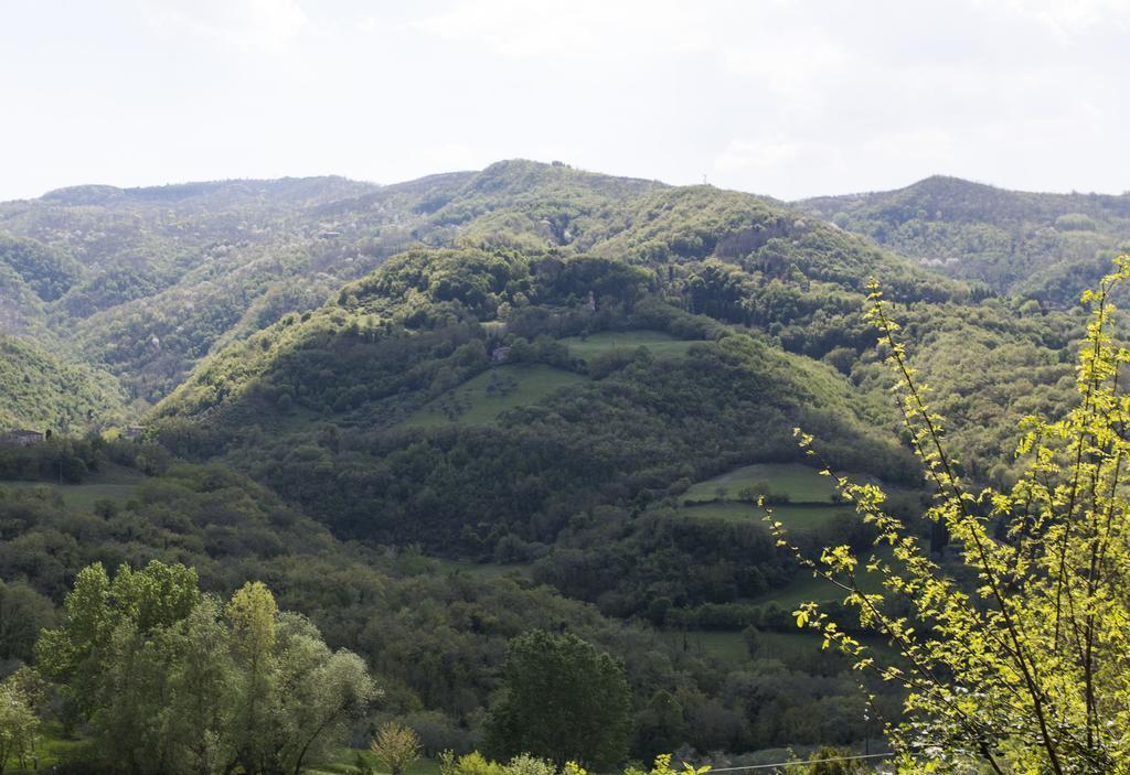 Il Mugello B&B Vicchio Extérieur photo