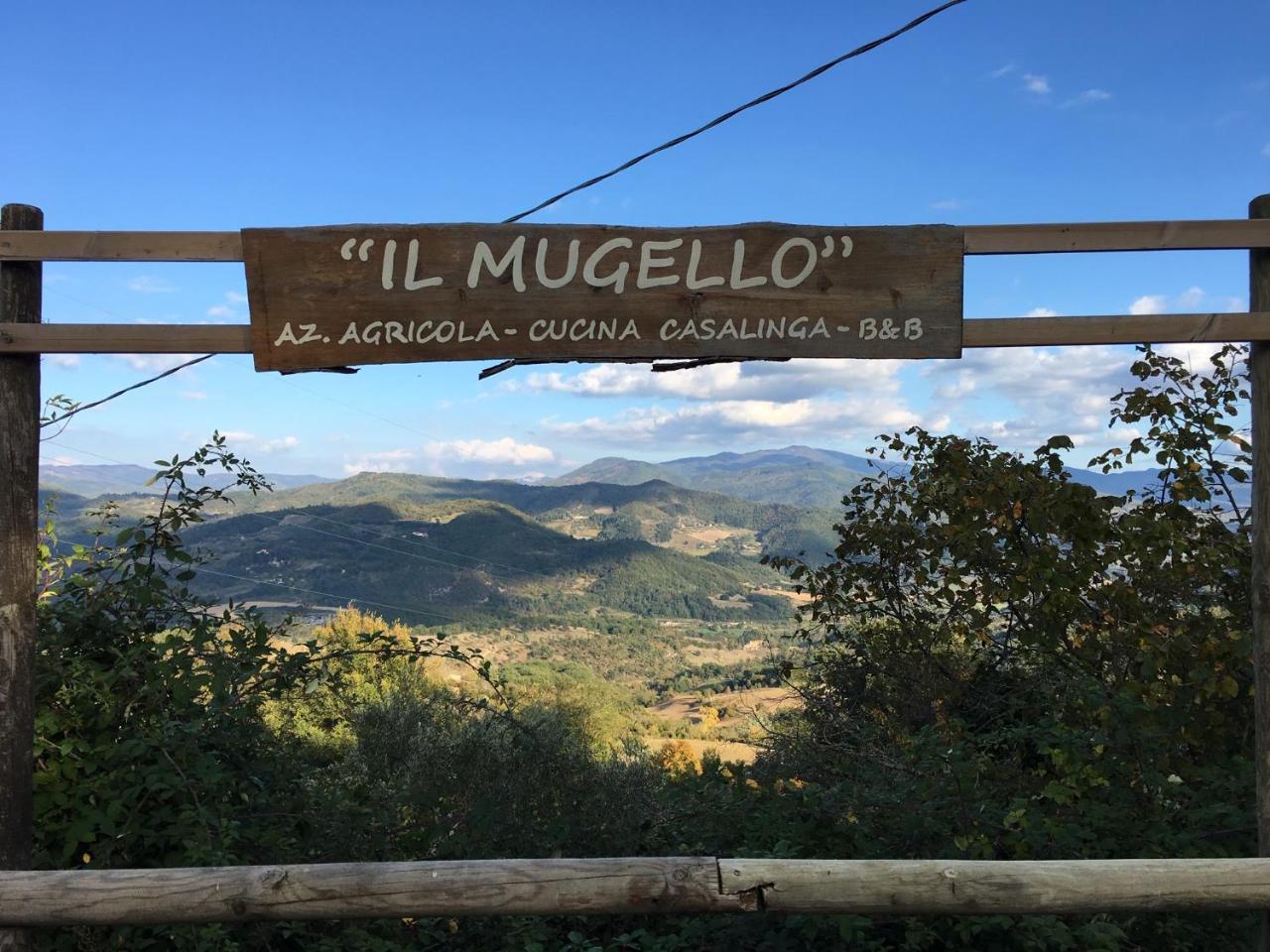 Il Mugello B&B Vicchio Extérieur photo
