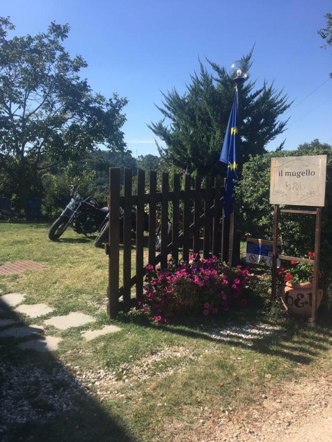 Il Mugello B&B Vicchio Extérieur photo